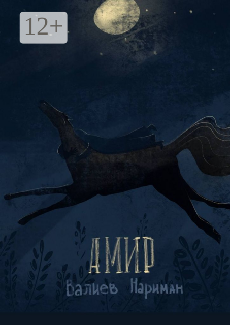 Амир, Нариман Валиев