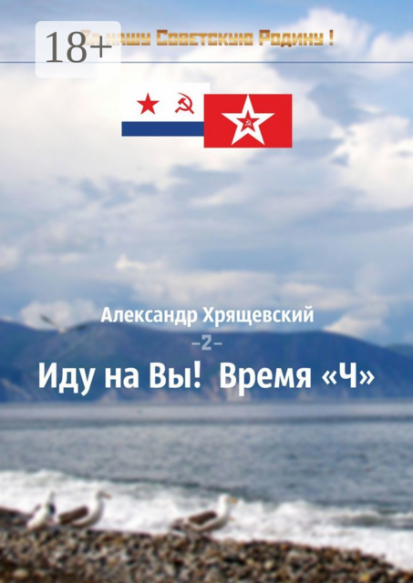 Иду на Вы! Время «Ч». Том 2