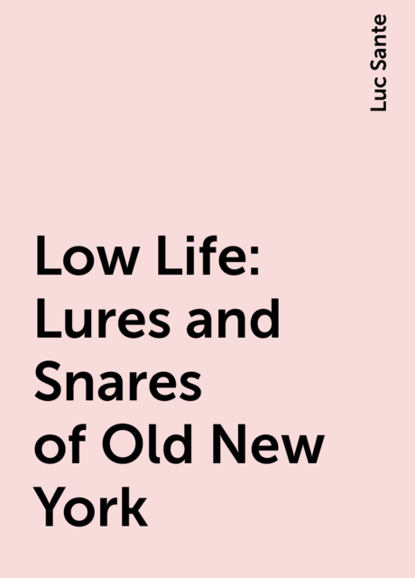 Low Life: Lures and Snares of Old New York