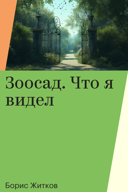 Зоосад. Что я видел