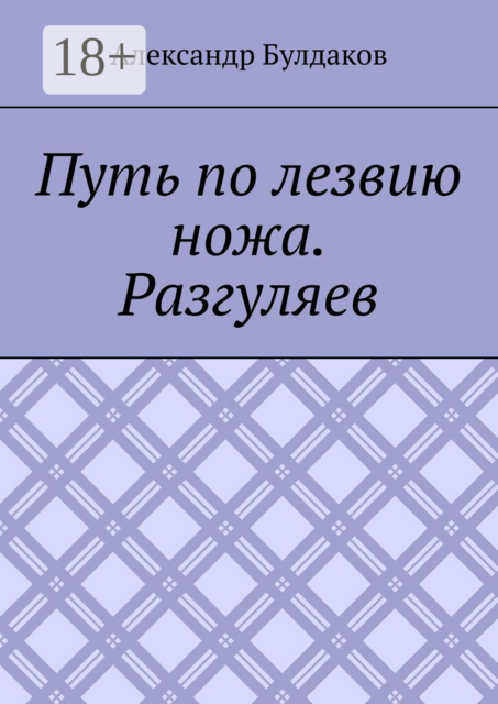 Путь по лезвию ножа. Разгуляев