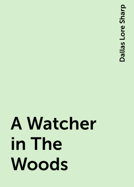 A Watcher in The Woods