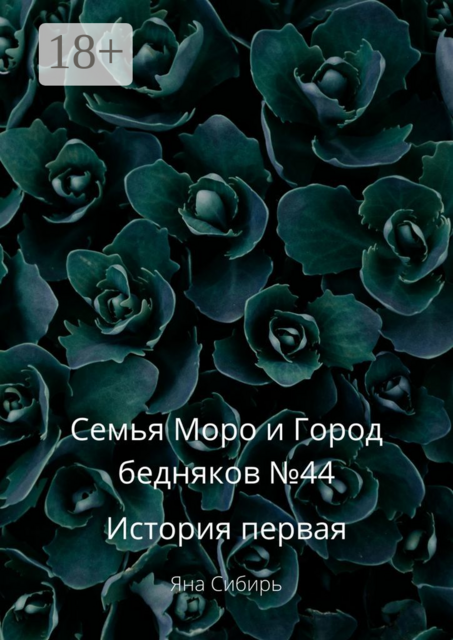 Семья Моро и Город бедняков №44. История первая, Яна Сибирь