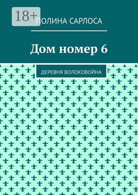Дом номер 6. Деревня Волоковойна