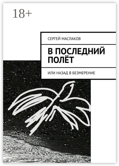 В последний полет. Или Назад в Безмерение