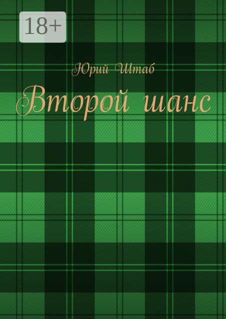 Второй шанс, Юрий Штаб