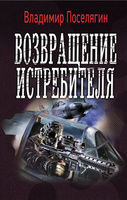 Я – истребитель! Книга 3. Возвращение истребителя