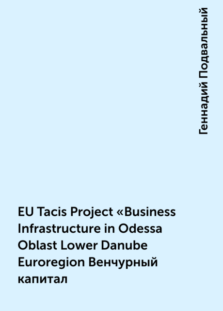 EU Tacis Project “Business Infrastructure in Odessa Oblast Lower Danube Euroregion Венчурный капитал