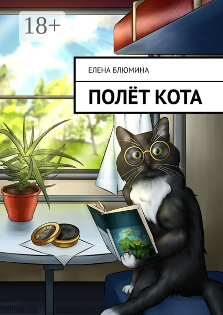 Полёт кота