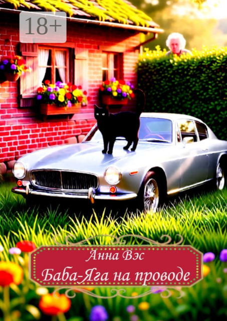 Баба-Яга на проводе
