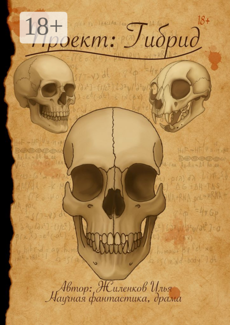 Проект: Гибрид, Илья Жиленков