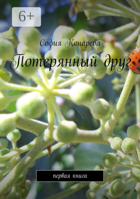 Потерянный друг. Первая книга, Cофия Конарева
