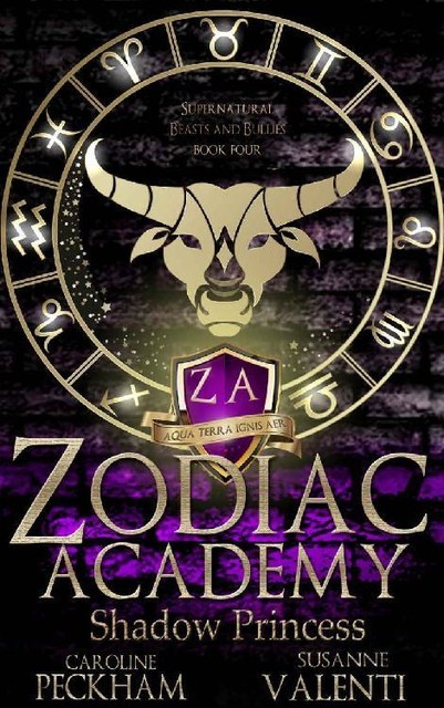 Zodiac Academy 4: Shadow Princess: An Academy Bully Romance (Supernatural Bullies and Beasts)