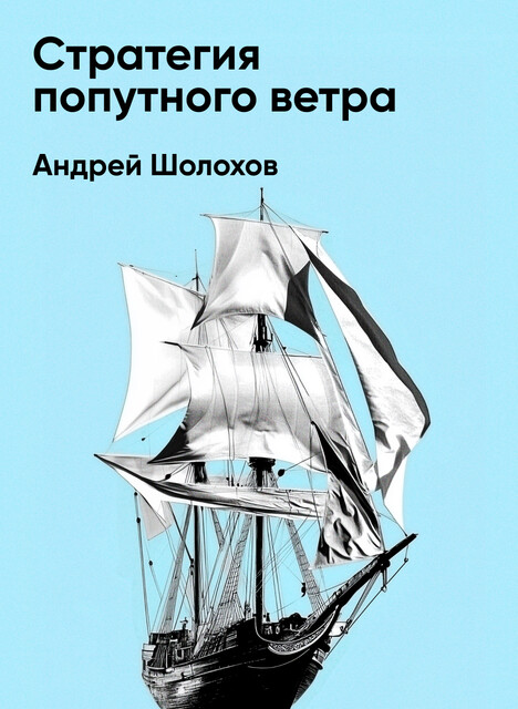 Стратегия попутного ветра: Как обнаружить или создать асимметрии, способные придать бизнесу ускорение (краткое изложение)