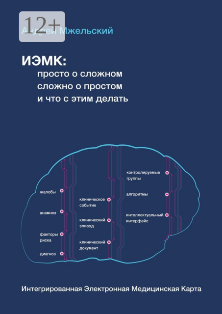 ИЭМК: просто о сложном, сложно о простом, и что с этим делать, Андрей Мжельский