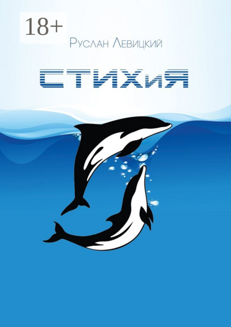 СТИХиЯ, Руслан Левицкий