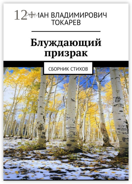 Блуждающий призрак, Роман Токарев