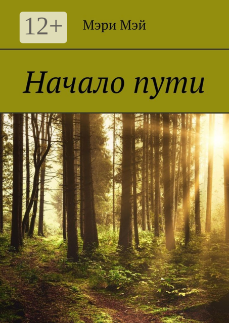 Начало пути