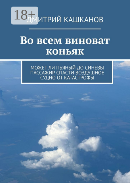 Во всем виноват коньяк. Может ли пьяный до синевы пассажир спасти воздушное судно от катастрофы