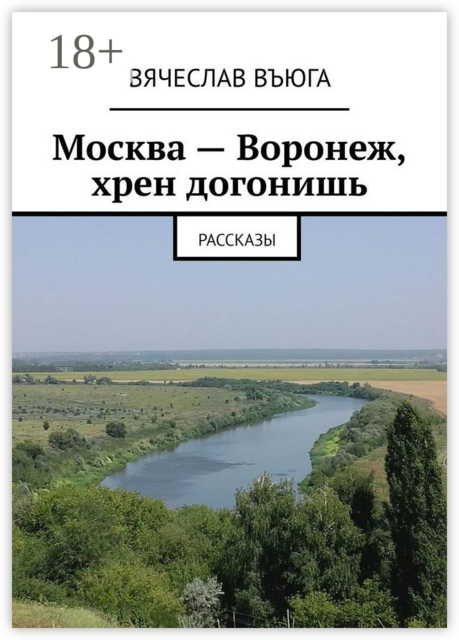 Москва — Воронеж, хрен догонишь, Вячеслав ВъЮГа