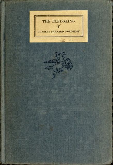 The Fledgling