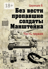 Без вести пропавшие солдаты Манштейна