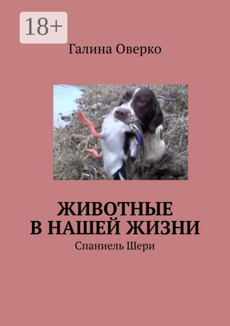 Животные в нашей жизни. Спаниель Шери