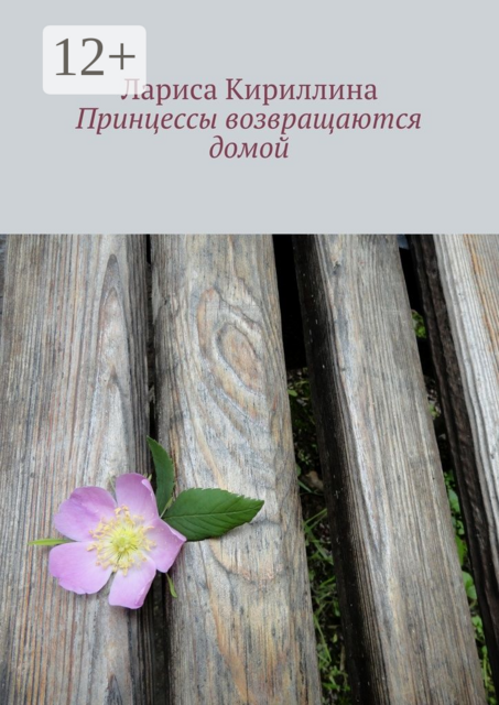 Принцессы возвращаются домой