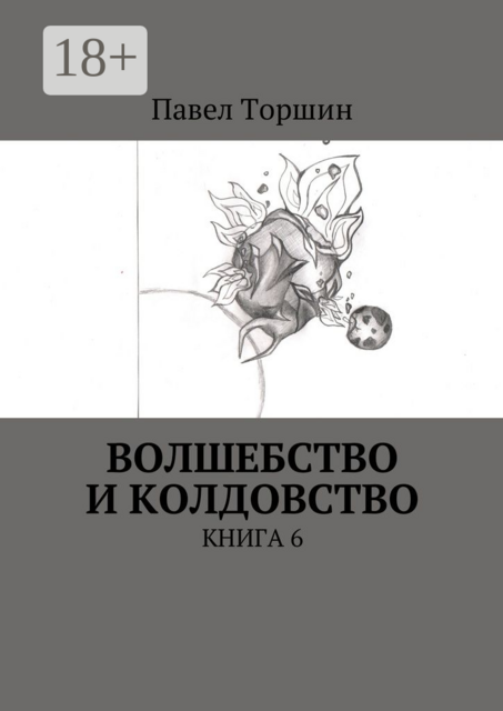 Волшебство и колдовство. Книга 6