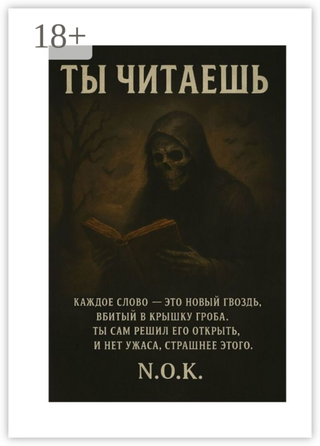 Ты читаешь, N.O. K.