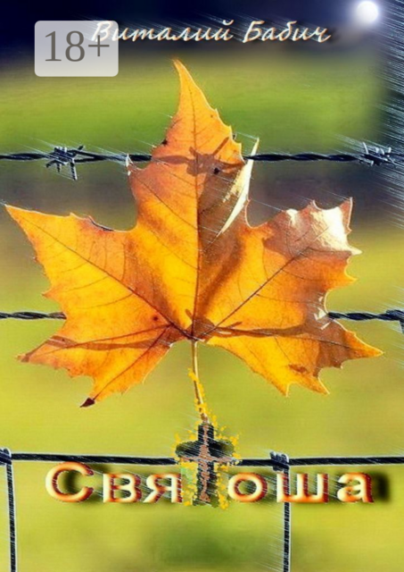 Святоша. Синтез тюремной, любовной и духовно-познавательной прозы