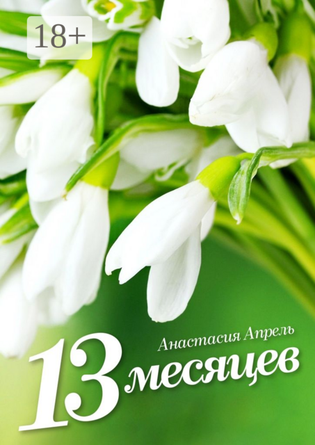 13 месяцев