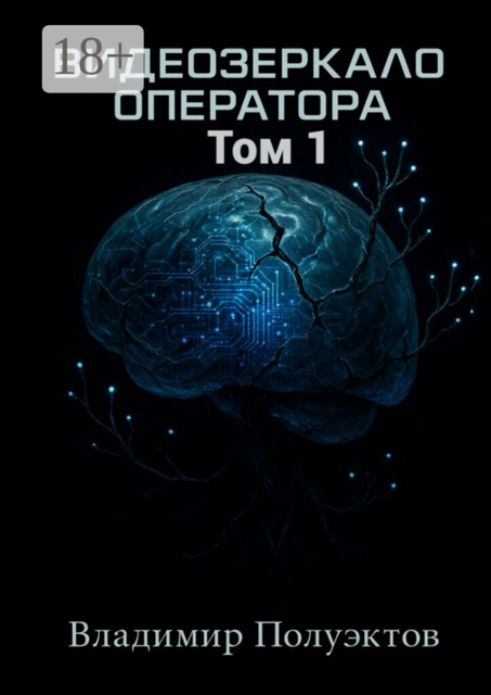 Видеозеркало оператора. Том 1