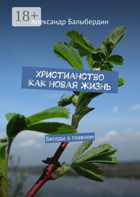 Христианство как новая жизнь. Беседы о главном