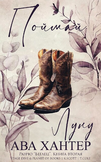 Поймай луну