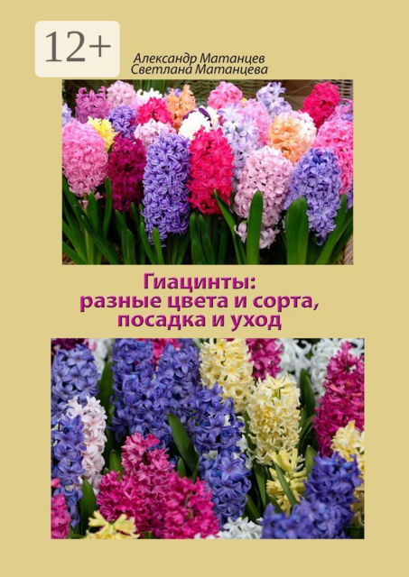 Гиацинты: разные цвета и сорта, посадка и уход, Александр Матанцев, Светлана Матанцева