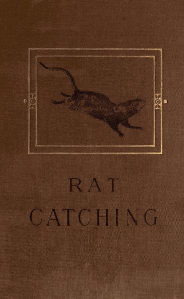 Studies in the Art of Rat-catching