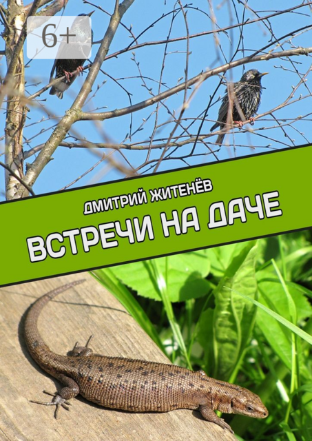 Встречи на даче