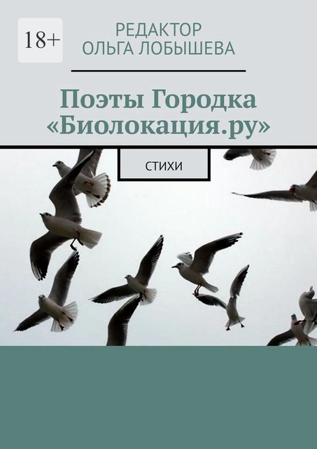 Поэты Городка «Биолокация.ру»