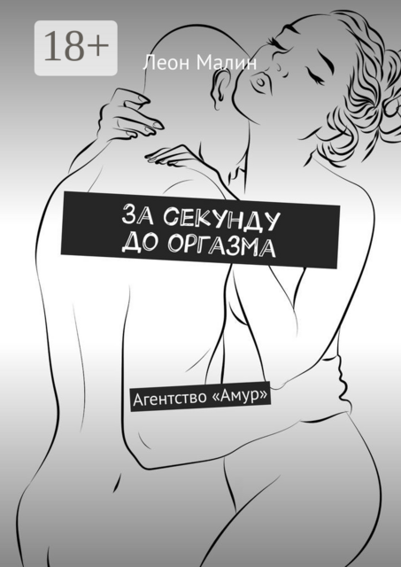 За секунду до оргазма. Агентство «Амур»