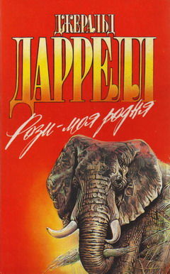 Рози – моя родня