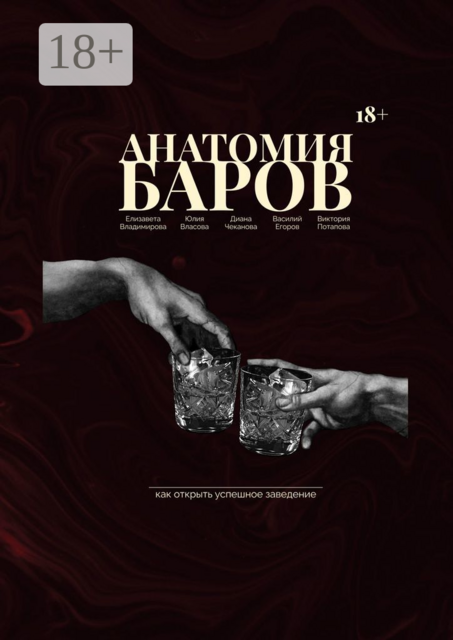 Анатомия баров. Как открыть успешное заведение, Юлия Власова, Виктория Потапова, Василий Егоров, Диана Чеканова, Елизавета Владимирова