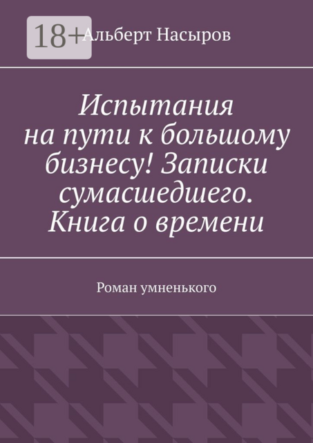 Испытания на пути к большому бизнесу! Записки сумасшедшего. Книга о времени, Альберт Насыров