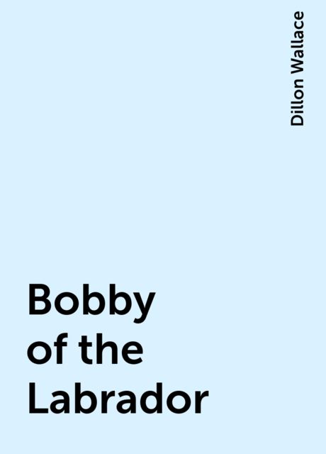 Bobby of the Labrador