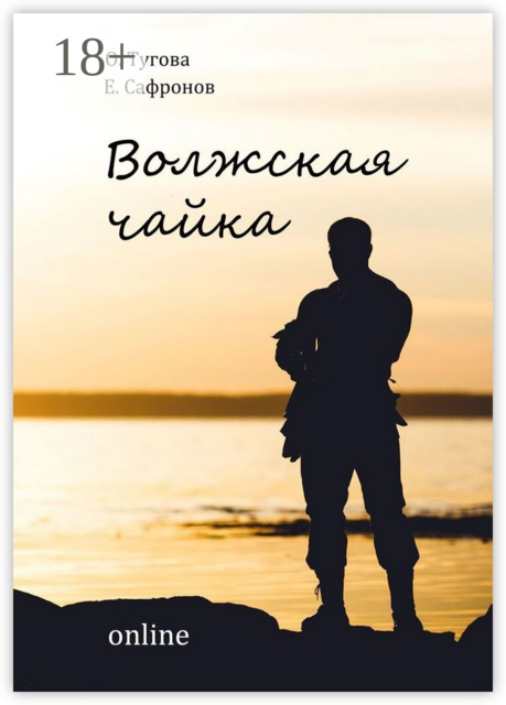 Волжская чайка online