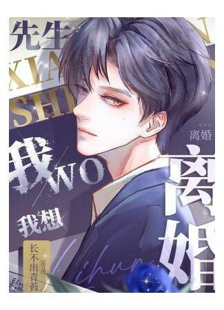 Мистер, я хочу развестись