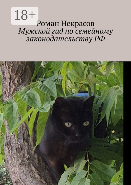 Мужской гид по семейному законодательству РФ. Истории от юристов для обывателей