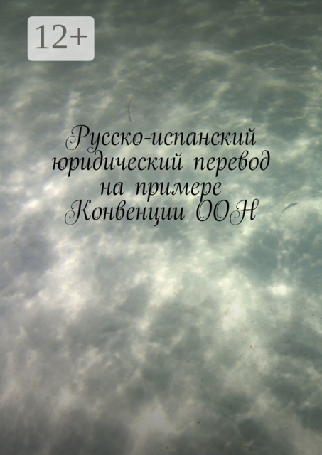 Русско-испанский юридический перевод на примере Конвенции ООН, Вадим Снегирев