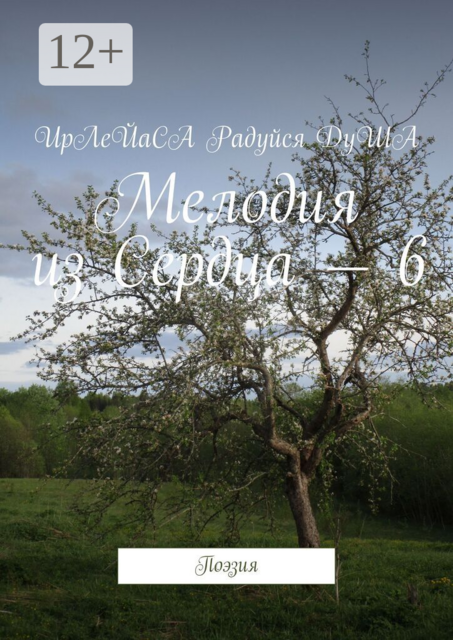 Мелодия из Сердца — 6. Поэзия