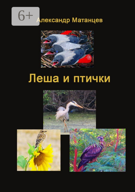 Леша и птички
